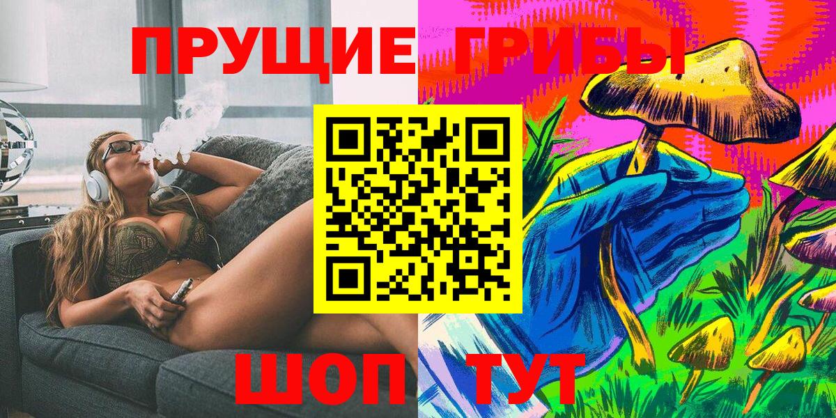 Галлюциногенные грибы Psilocybe Шадринск