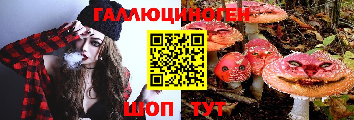 Галлюциногенные грибы Cubensis  Вход с VPN  наркота  Шадринск 